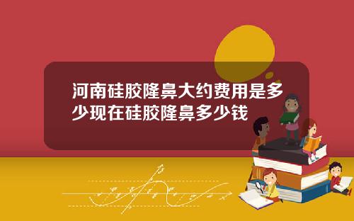 河南硅胶隆鼻大约费用是多少现在硅胶隆鼻多少钱