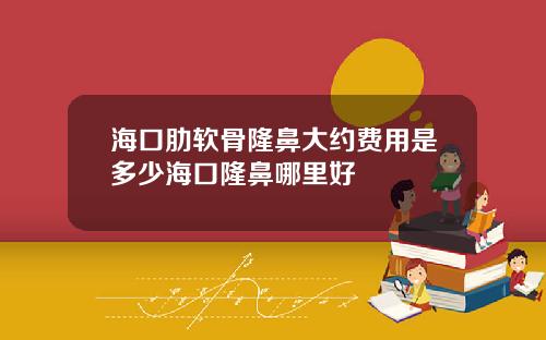 海口肋软骨隆鼻大约费用是多少海口隆鼻哪里好