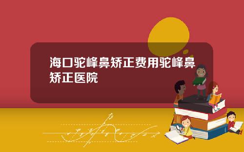 海口驼峰鼻矫正费用驼峰鼻矫正医院