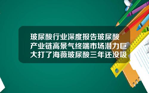 玻尿酸行业深度报告玻尿酸产业链高景气终端市场潜力巨大打了海薇玻尿酸三年还没吸收完