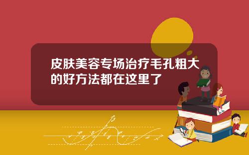 皮肤美容专场治疗毛孔粗大的好方法都在这里了
