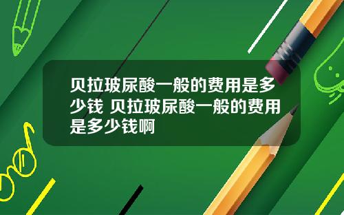 贝拉玻尿酸一般的费用是多少钱 贝拉玻尿酸一般的费用是多少钱啊