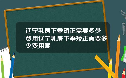 辽宁乳房下垂矫正需要多少费用辽宁乳房下垂矫正需要多少费用呢