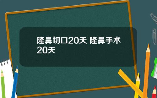 隆鼻切口20天 隆鼻手术20天