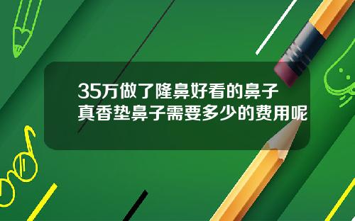 35万做了隆鼻好看的鼻子真香垫鼻子需要多少的费用呢