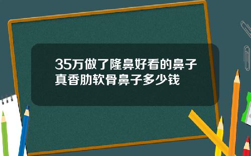 35万做了隆鼻好看的鼻子真香肋软骨鼻子多少钱