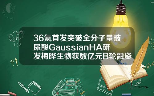 36氪首发突破全分子量玻尿酸GaussianHA研发梅晔生物获数亿元B轮融资玻尿酸的专利是哪家公司