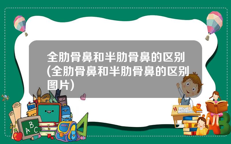 全肋骨鼻和半肋骨鼻的区别(全肋骨鼻和半肋骨鼻的区别图片)