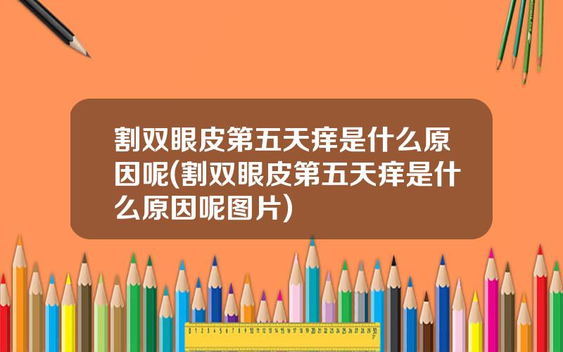 割双眼皮第五天痒是什么原因呢(割双眼皮第五天痒是什么原因呢图片)