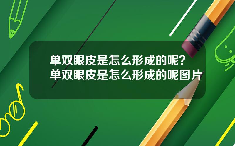 单双眼皮是怎么形成的呢？单双眼皮是怎么形成的呢图片