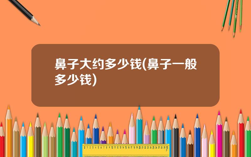 鼻子大约多少钱(鼻子一般多少钱)